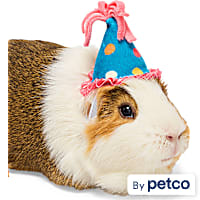 YOULY Birthday Crown Small Animal Hat