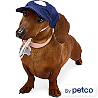 YOULY Cloud Adjustable Dog Hat