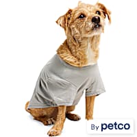 YOULY Gemini Zodiac Sign Pet T-Shirt