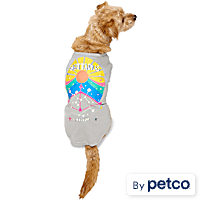 YOULY Sagittarius Zodiac Sign Pet T-Shirt