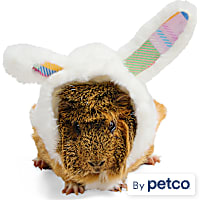 YOULY Easter Bunny Small Animal Hoodie