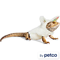 YOULY Easter Bunny Bearded Dragon Hoodie