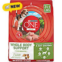 Purina ONE Plus Whole Body Support with Chicken Dry Dog Food