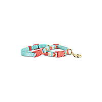 YOULY Turquoise & Coral Collars for Small Dogs