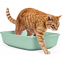 So Phresh Open Cat Litter Box
