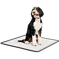 So Phresh Silicone Potty Pad Holder