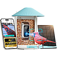 Birdfy Blue Solar Panel & AI Lifetime Free Smart Bird Feeder Camera
