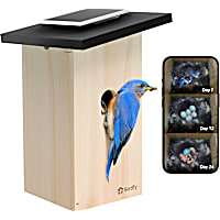 Birdfy Ebony Solar Powered Smart Bird House with Camera