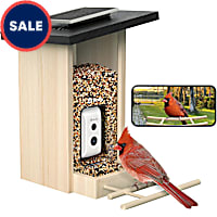 Birdfy Ebony Solar Powered Smart Bird Feeder with Camera