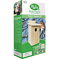 Nature's Way My First Cedar D.I.Y. Bird House w/ Viewing Window