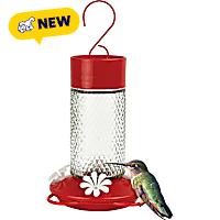 Nature's Way Charming Cherry Glass Gravity Hummingbird Feeder