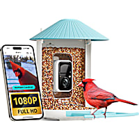 Birdfy Smart Bird Feeder Camera AI Recognition