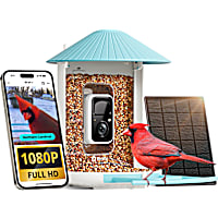 Birdfy Smart Bird Feeder with Camera, Solar Powered & AI Recognition