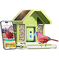 Birdfy Metal Bird Feeder with Camera Squirrel Proof, AI Lifetime Free, Solar Powered
