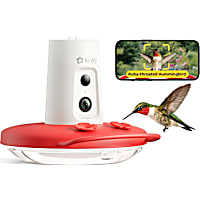 Birdfy Humming Bird Feeder with Camera, Motion Detection