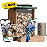 Birdfy Cedar D Smart Bird Feeder with Camera, Free Lifetime AI Camera Bird Feeder