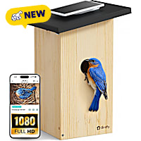 Birdfy Smart Bird Houses for Outside Solar Powered 1080P HD Live View Bird House with Camera