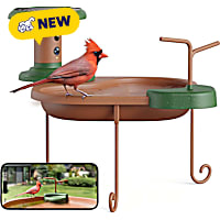 Birdfy Jolly V Smart Bird Bath with Camera Solar Powered