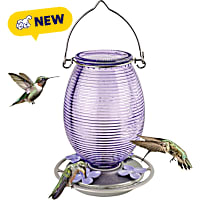 Nature's Way Lilac Hummingbird Dreams Hanging Glass Feeder, Nectar Feeder