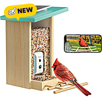 Birdfy Smart Bird Feeder with Camera, Solar Powered