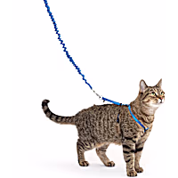PetSafe Gentle Leader Come with Me Kitty Harness & Bungee Leash