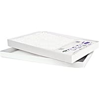 PetSafe ScoopFree Cat Litter Box Tray Refills with Sensitive Non Clumping Crystals