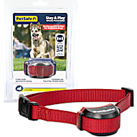 PetSafe Stay & Play Stubborn Wireless Fence Receiver Collar for Dogs