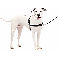 PetSafe Easy Walk Harness