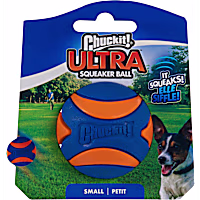 Chuckit! Ultra Squeaker Ball Fetch Dog Toy