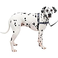 PetSafe Easy Walk Deluxe Dog Harness