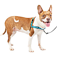Petsafe Deluxe Easy Walk Harness