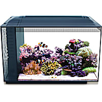 Fluval EVO XII Marine Aquarium Kit