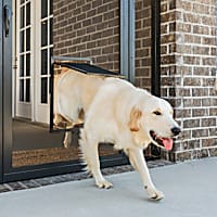 PetSafe Large Pet Screen Door