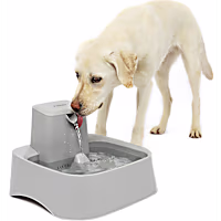 PetSafe Oasys 2 Gallon Pet Fountain