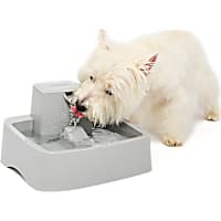 PetSafe Drinkwell 1 Gallon Pet Fountain