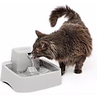 PetSafe Oasys 1/2 Gallon (64 Ounce) Small Pet Fountain