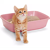 So Phresh Open Kitten Litter Box