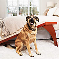 PetSafe CozyUp Cherry Bed Ramp for Dogs