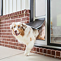 PetSafe Extreme Weather Sliding Glass Pet Door