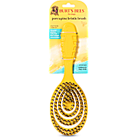 Burt's Bees for Pets Porcupine Bristle Brush for Large Dogs