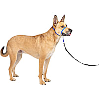 PetSafe Gentle Leader Dog Headcollar