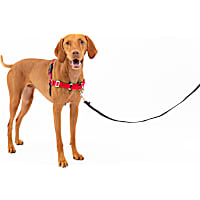 Petsafe Easy Walk No Pull Harness