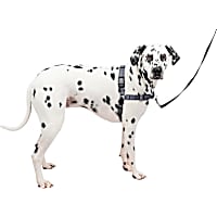 PetSafe Easy Walk Deluxe Dog Harness, No Pull Dog Harness, Steelss