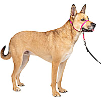 PetSafe Gentle Leader Raspberry Dog Headcollar