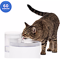 PetSafe Outlast Pumpless Pet Fountain for Cat Bowl