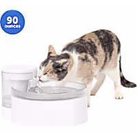 PetSafe Outlast Pumpless Water Fountain for Pets