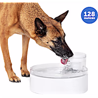 PetSafe White Outlast Pumpless Water Fountain Indoor Water Dispenser for Dogs and Multiple Cats