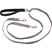 PetSafe Two Point Control Dog Leash