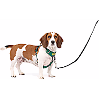 PetSafe 5 Points of Adjustment for Perfect Fit Easy Walk Comfort No-Pull Dog Harness
