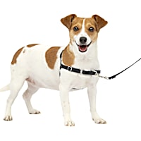PetSafe Easy Walk No-Pull Dog Harness